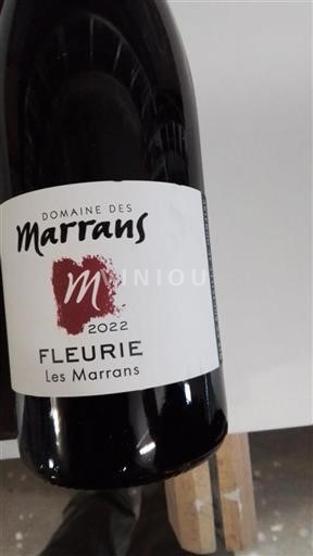 Beaujolais Fleurie Domaine Des Marrans Les Marrans 2022