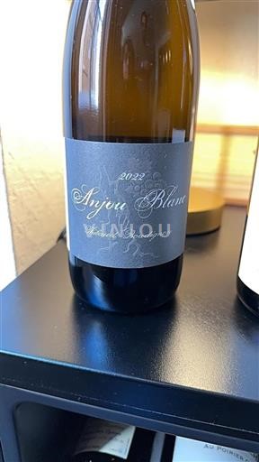 Alsace Pinot blanc Thibaud Boudignon 2022
