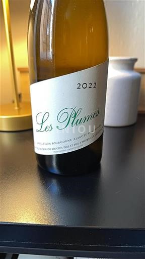 Bourgogne Bourgogne Aligoté Domaine Rougeot Père Et Fils Les Plumes 2022
