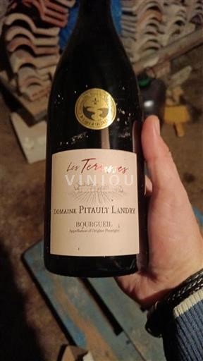 Valle del Loira Bourgueil Domaine Pitault Landry Les Terrasses 2022