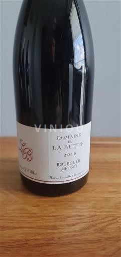 Valle della Loira Bourgueil Domaine La Butte Mi-Pente 2018