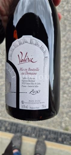 Languedoc-Roussillon Pays d'Oc Valérie 2020