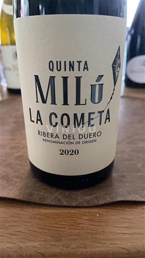 Kastilien und León Ribera del Duero Quinta Milú La Cometa 2020
