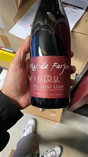Languedoc Pic-saint-loup Mas De Farjou Les Lemrbusques 2022