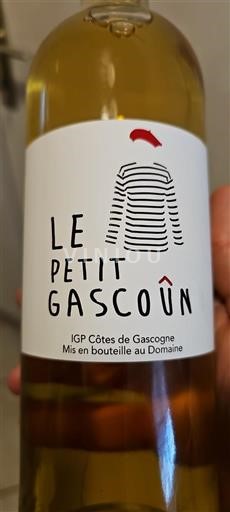 South West Côtes de Gascogne Le Petit Gascoun 2023