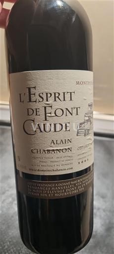 Languedoc Languedoc Hills Domaine Alain Chabanon L'Esprit de Font Caude 2005