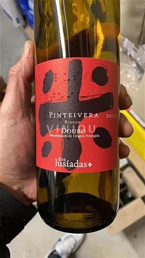 Portogallo Douro Dos Lusíadas Pinteivera 2019