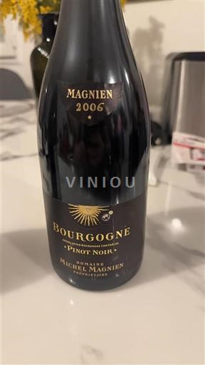 Bourgogne Domaine Michel Magnien 2006
