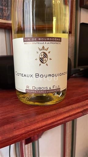 Borgogna Coteaux borgognoni R. Dubois & Fils 2019