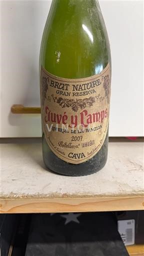 Vin Blanc brut-nature Reserva de la Familia Juve Y Camps 2007 Espagne Catalogne