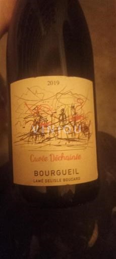 Vallée de la Loire Bourgueil Lamé Delisle Boucard Déchaînée 2019