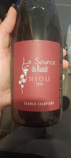Vallée de la Loire Saumur-champigny La Source Du Ruault 2018