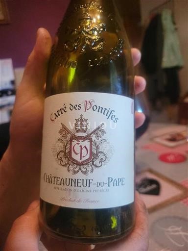 Rhône-dalen Châteauneuf-du-Pape Carré des Pontifes Ikke årgangsbestemt