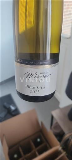 Vin Blanc sec Pinot Gris Hubert Meyer 2023 France Alsace