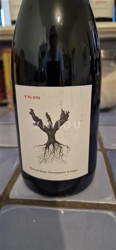 Castile and León Ribera del Duero Psi 2019