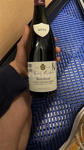 Borgogna Santenay Premier Cru Prosper Maufoux Les Gravi%c3%a8res 2019