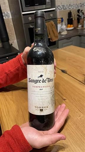 Catalogna Torres Sangre de Toro 2017