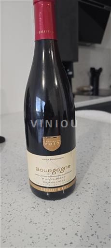 Borgogna Grand Cru Vignerons De Buxy Buissonnier 2017