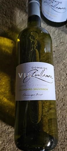 Sud-Ovest Côtes de Gascogne Guillaman Colombard-Sauvignon Senza annata