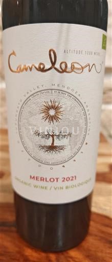 Mendoza Määrittelemätön Cameleon 2021