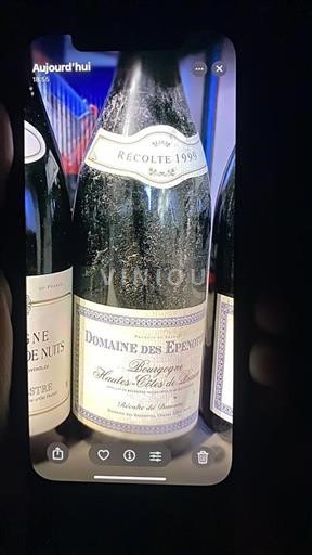 Burgundy Hautes-Côtes de Beaune Domaine Des Epenottes 1999