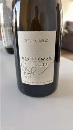 Valle della Loira Menetou-Salon Domaine Philippe Gilbert Clos des Treilles 2020