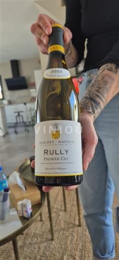 Vin Blanc sec Doudet-Naudin 2022 France Bourgogne Rully Premier Cru