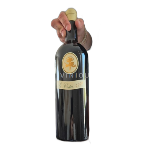 Sydväst Cahors Château Cèdre/viranel & Fils 2020