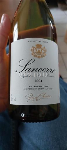 Údolí Loiry Sancerre Pierre Chanau 2024