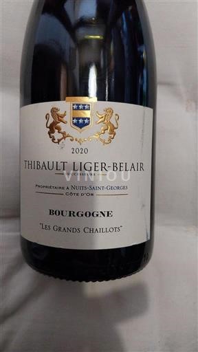 Borgogna Non specificato Domaine Thibault Ligerbelair Les Grands Chaillots 2020