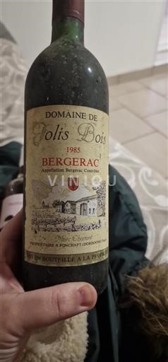 Sudoeste Bergerac Domaine Jolis Bois 1985