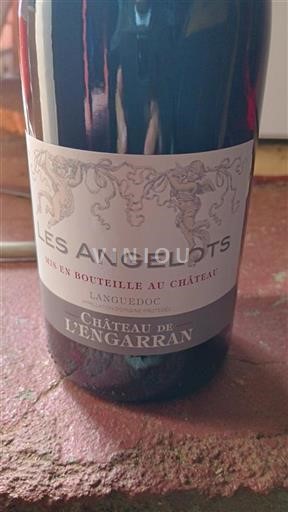 Languedoc Château L'engarran Les Angelots 2020