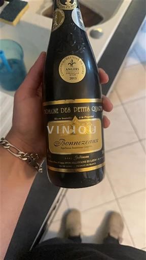Vallée de la Loire Bonnezeaux Domaine Des Petits Quarts 2013