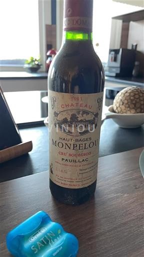 Bordeaux Pauillac Cru Bourgeois Château Hautbages Monpelou 1993