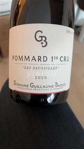 Bourgogne Ikke specificeret Premier Cru Domaine Guillaume Baduel Les Saussilles 2020