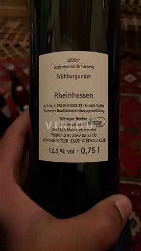 Rheinhessen Weingut Becker Bodenheimer Kreuzberg 2020