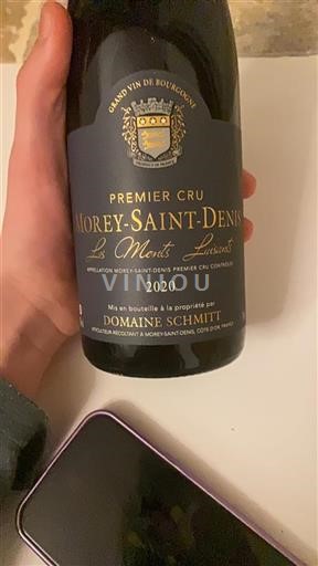 Bourgogne Morey-saint-denis Premier Cru Domaine Schmitt Les Monts Luisants 2020