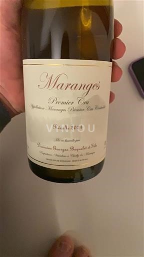 Bourgogne Ikke specificeret Premier Cru Domaine Georges Boquie Et Fils 2021
