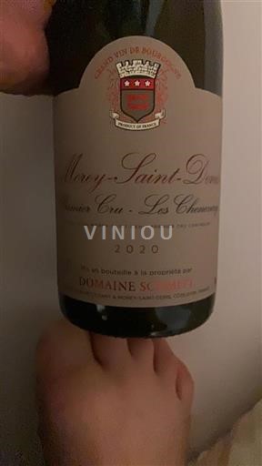Bourgogne Ikke specificeret Premier Cru X Les Chenevery 2020