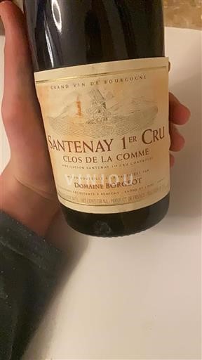 Bourgogne Ospecificerad Premier Cru Domaine Borgeot Clos de la Comme 2009