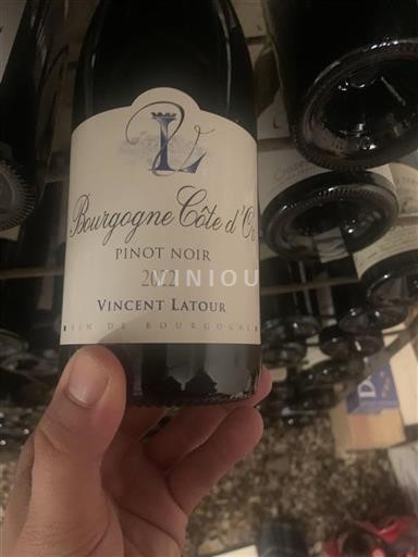 Vin Rouge sec Vincent Latour 2022 France Bourgogne Bourgogne Côte d'Or