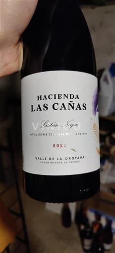 Canary Islands Valle de la Orotava Hacienda Las Cañas Listán Negro 2021