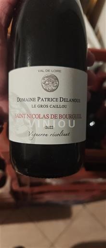 Loiredalen Saint-Nicolas-De-Bourgueil Patrice Delanoue Le Gros Caillou 2022
