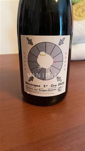 Burgundija Maranges Premier Cru Domaine Des Rouges Queues 2022