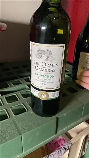 Vin Blanc sec Sauvignon Les Ormes de Cambras 2017 France Languedoc et Roussillon Pays d'oc