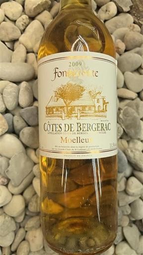Sydväst Côtes-de-bergerac Fonsecoste 2009
