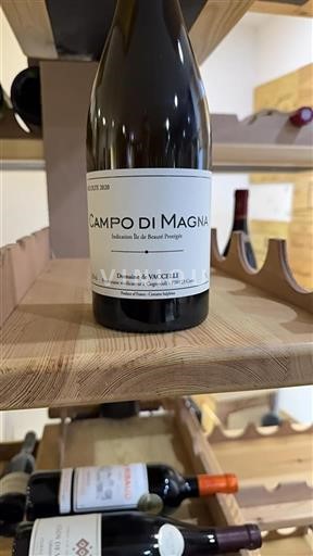 Korsika Skönhetens ö Domaine Vaccelli Campo di Magna 2020