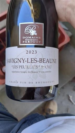 Burgundy Savigny-lès-Beaune Premier Cru Domaine Alexandre Parigot Les Peuillets 2023
