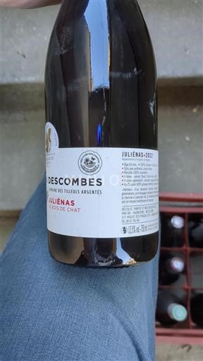 Beaujolais Juliénas Descombes Le Bois de Chat 2022