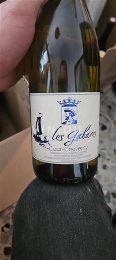 Vallée de la Loire Cour-cheverny Les Gabares 2022